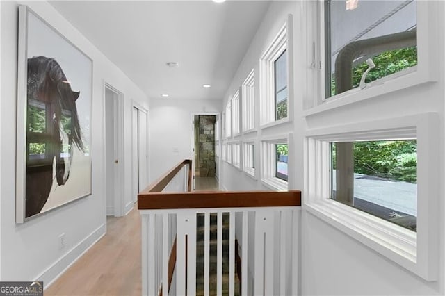 hall featuring light wood-type flooring and a wealth of natural light