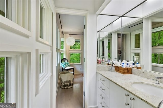 bathroom featuring vanity and hardwood / wood-style flooring