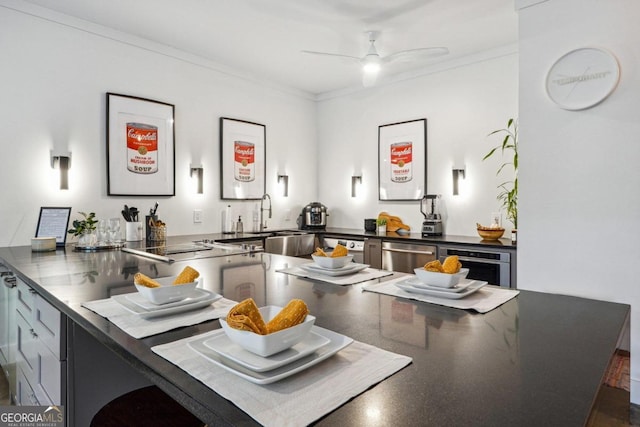 kitchen with kitchen peninsula, stainless steel appliances, ceiling fan, and crown molding