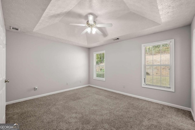 spare room featuring a tray ceiling, carpet floors, and a textured ceiling