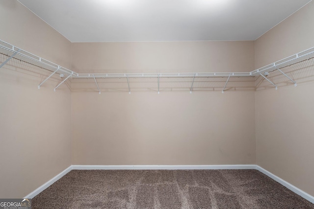 spacious closet featuring carpet floors