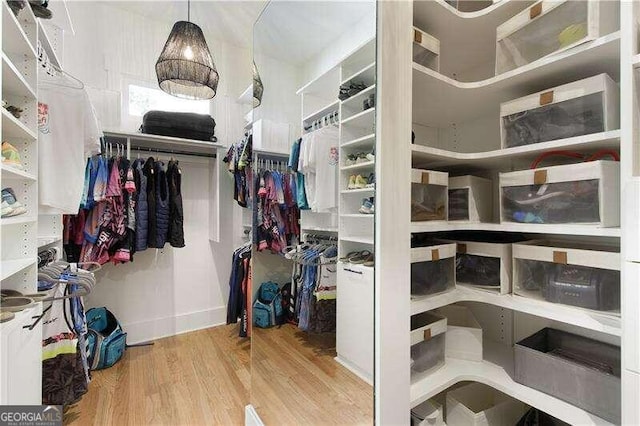 spacious closet featuring light hardwood / wood-style flooring