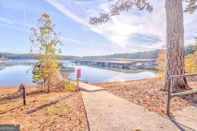 water view with a dock