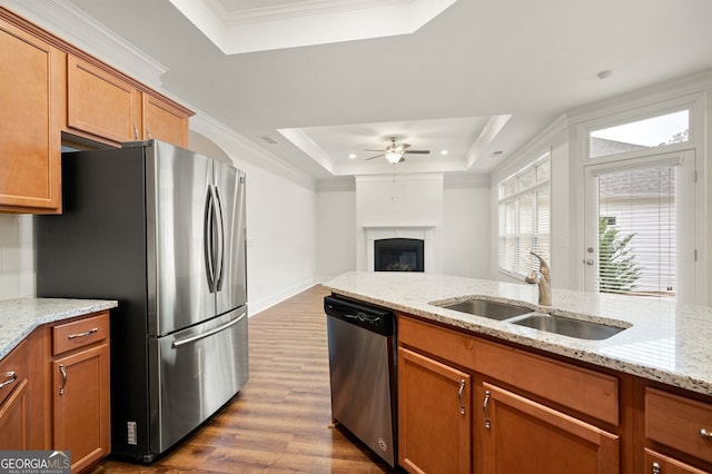 kitchen featuring sink, light stone counters, wood-type flooring, a tray ceiling, and appliances with stainless steel finishes