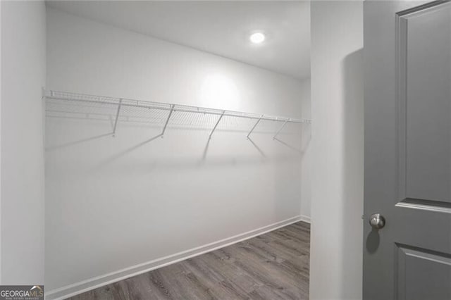 spacious closet with hardwood / wood-style flooring