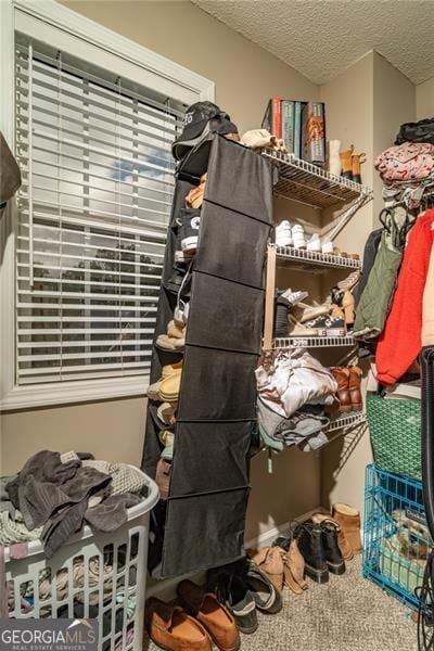 walk in closet featuring carpet flooring