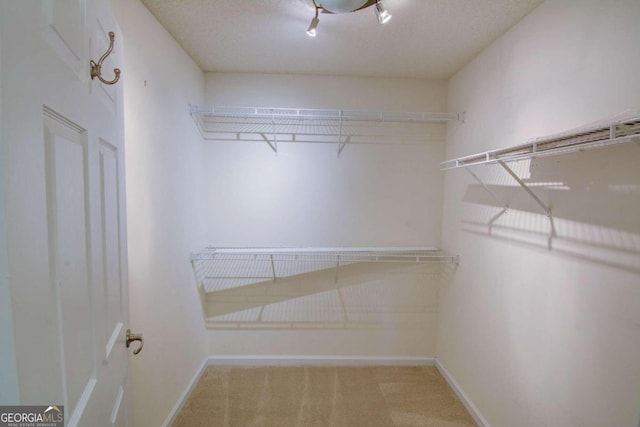 spacious closet with light carpet