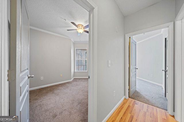 corridor with a textured ceiling, light hardwood / wood-style floors, and ornamental molding