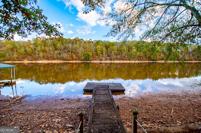 dock area featuring a water view