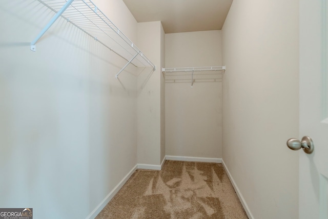 spacious closet featuring light carpet