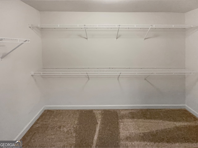 spacious closet with carpet floors