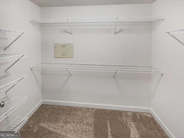 walk in closet with carpet flooring