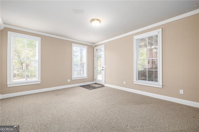 carpeted empty room featuring crown molding