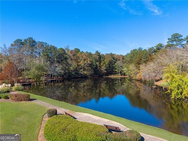 property view of water