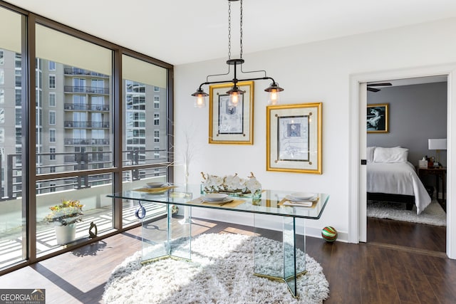 office space with dark hardwood / wood-style floors, floor to ceiling windows, and breakfast area