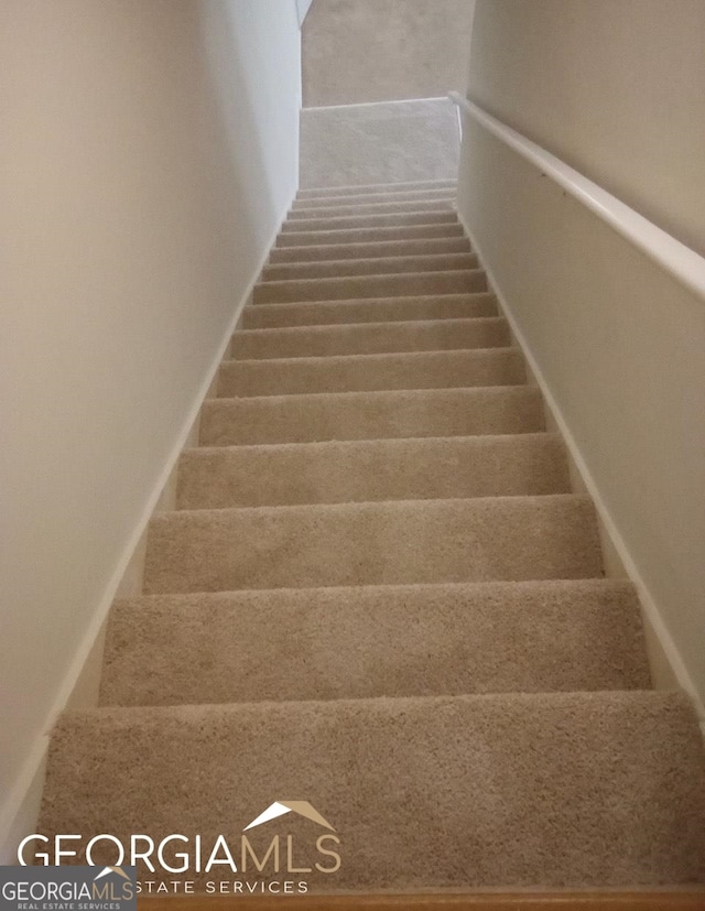 staircase featuring carpet