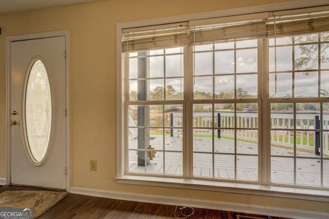 foyer with dark wood-type flooring and a wealth of natural light