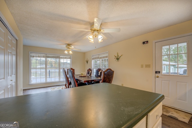 kitchen featuring ceiling fan, a healthy amount of sunlight, wood-type flooring, and a textured ceiling