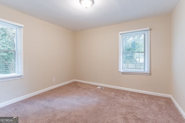 carpeted empty room featuring a wealth of natural light