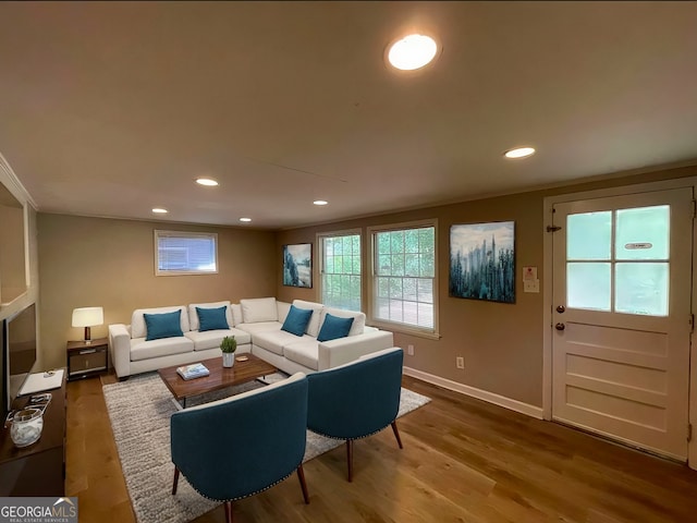 basement featuring wood-type flooring