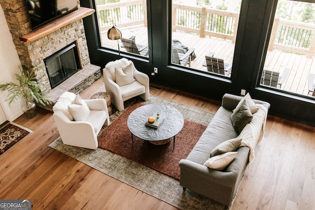 living room with a fireplace, light hardwood / wood-style flooring, and a wealth of natural light