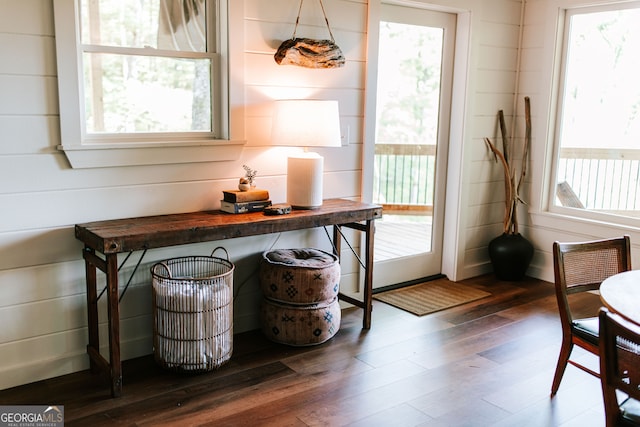 doorway to outside featuring a healthy amount of sunlight, dark wood-type flooring, and wooden walls