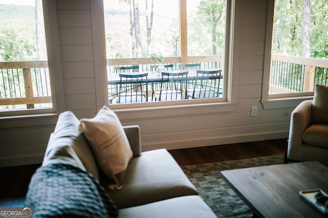 living room with dark hardwood / wood-style floors