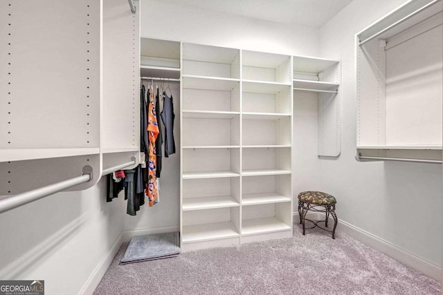 walk in closet featuring carpet flooring