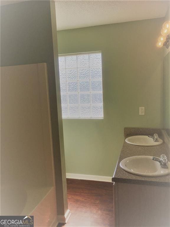 bathroom featuring hardwood / wood-style floors and vanity