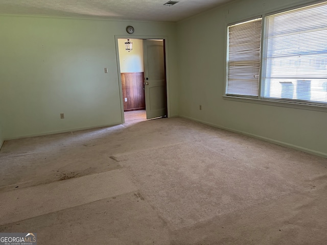 empty room featuring light colored carpet and a textured ceiling