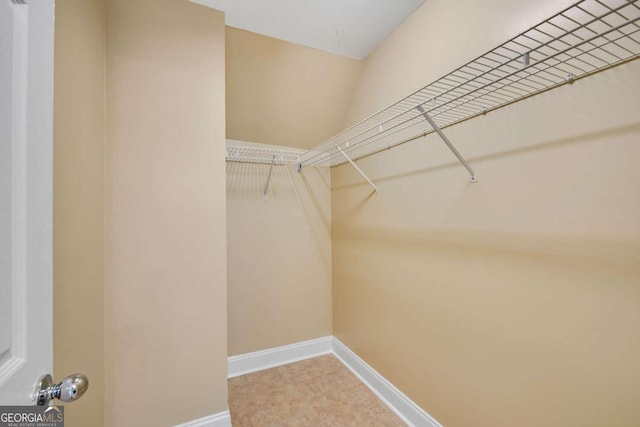 spacious closet with carpet