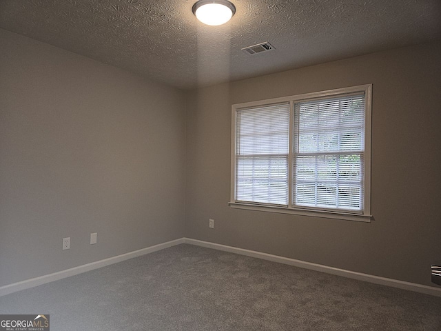 carpeted spare room featuring a wealth of natural light and a textured ceiling