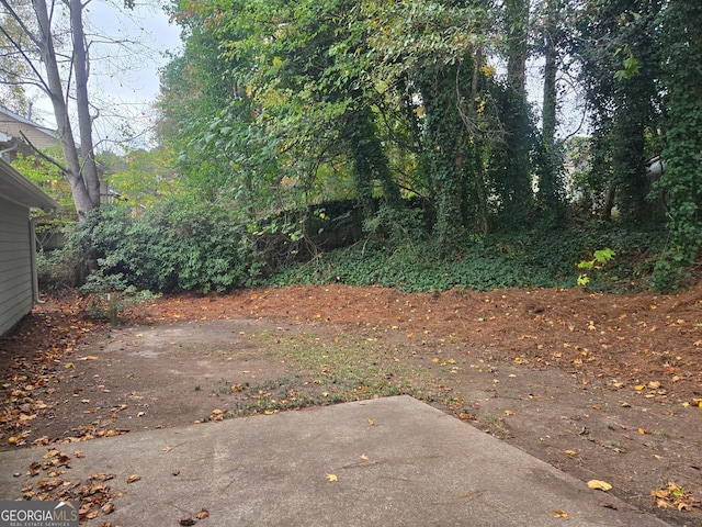 view of yard featuring a patio