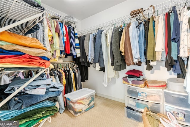 spacious closet featuring carpet