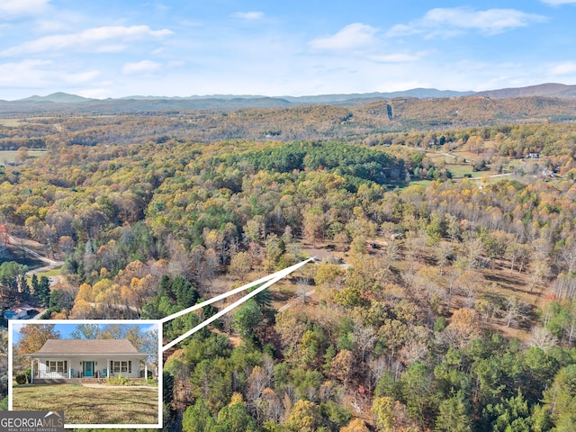 birds eye view of property featuring a mountain view