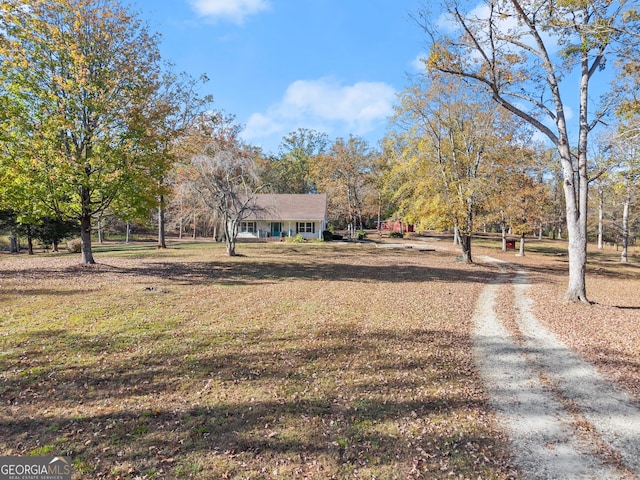 view of yard