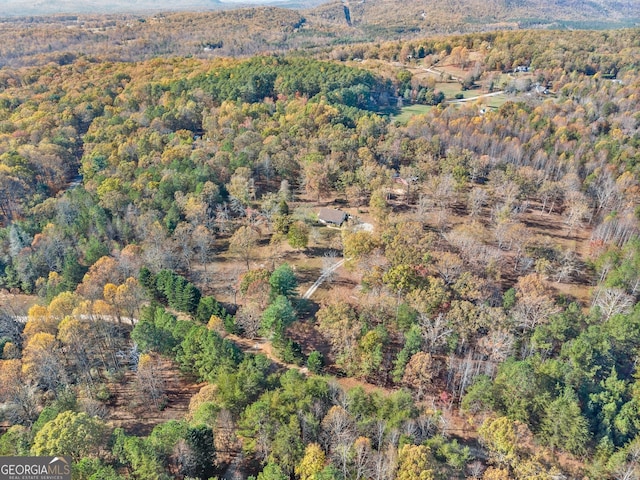 bird's eye view