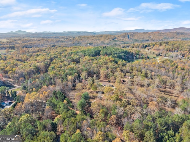 birds eye view of property featuring a mountain view