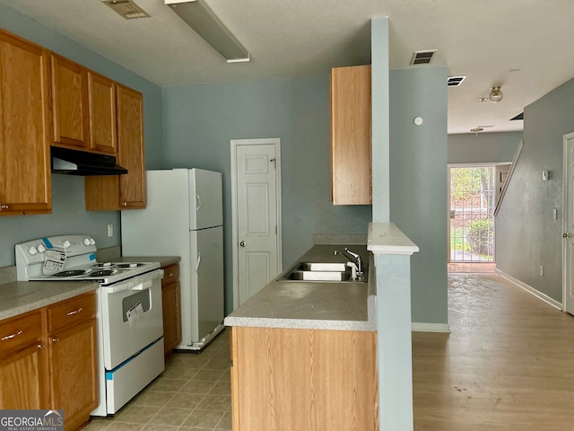 kitchen featuring light hardwood / wood-style floors, white appliances, and sink