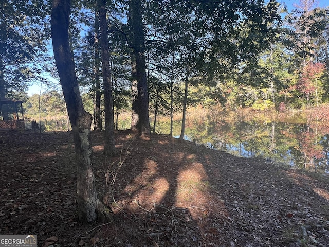 view of landscape featuring a water view