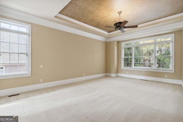 carpeted spare room with a raised ceiling, a wealth of natural light, crown molding, and ceiling fan