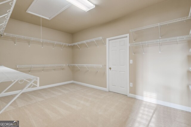 spacious closet featuring carpet flooring