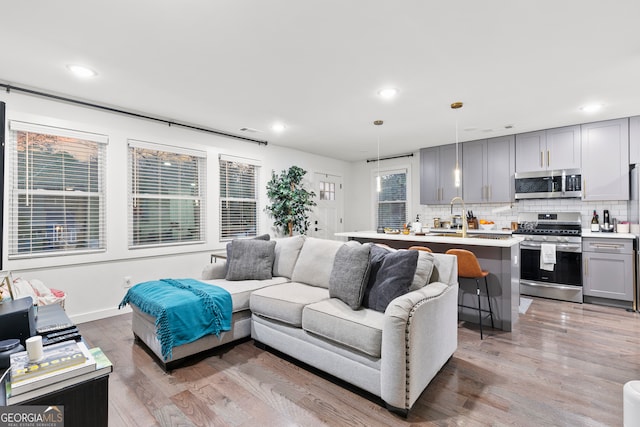 living room with hardwood / wood-style flooring