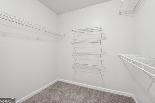 spacious closet with carpet flooring