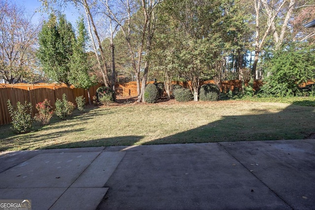 view of yard featuring a patio area