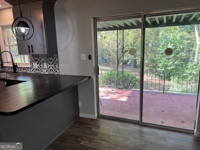 entryway featuring plenty of natural light, sink, and dark wood-type flooring