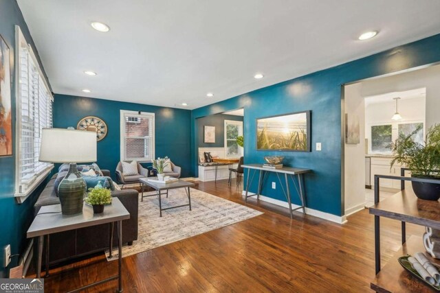 living room featuring wood-type flooring