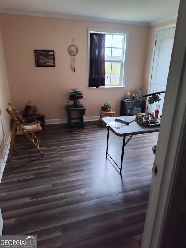 living area featuring dark hardwood / wood-style flooring and ornamental molding