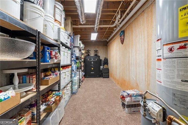 storage room with gas water heater