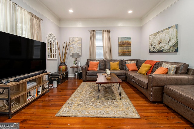 living room featuring crown molding and dark wood-type flooring